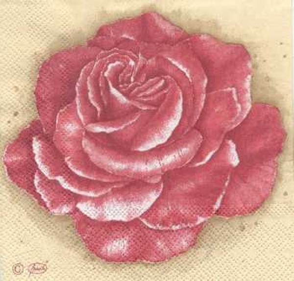 Serviette Rose, Rarität